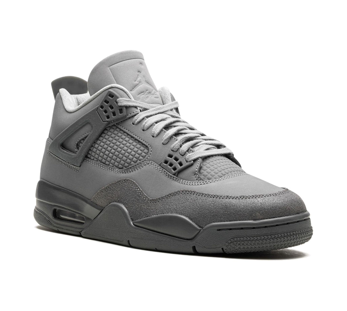 Jordan 4 Paris Olympics