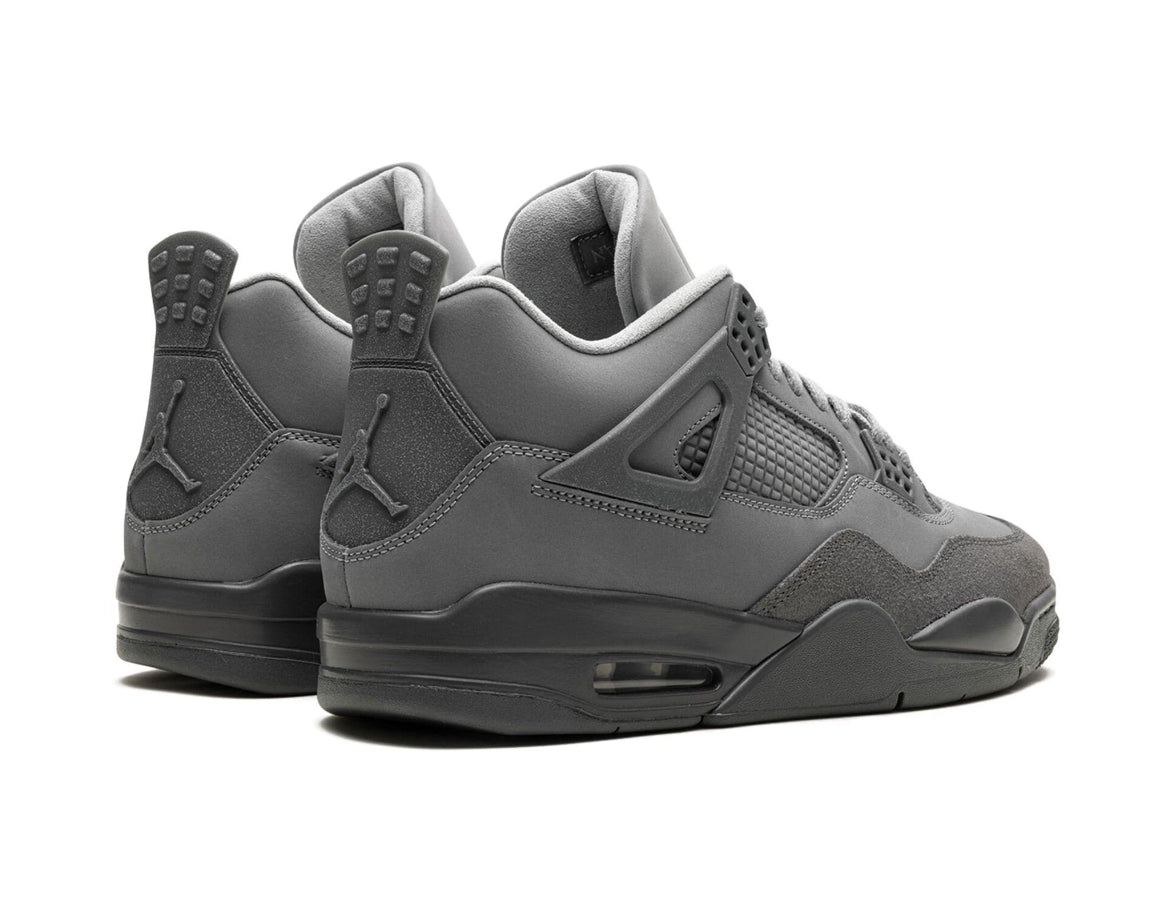 Jordan 4 Paris Olympics